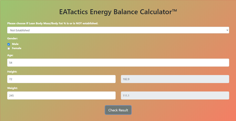 Energy Balance Calculator - Custom Tools Project - Codocraft Portfolio 1 | Built by Codocraft Solutions