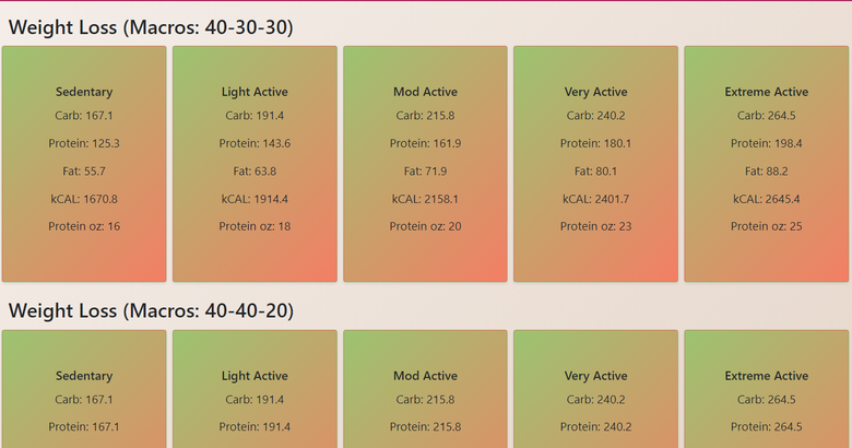 Energy Balance Calculator - Custom Tools Project - Codocraft Portfolio 3 | Built by Codocraft Solutions