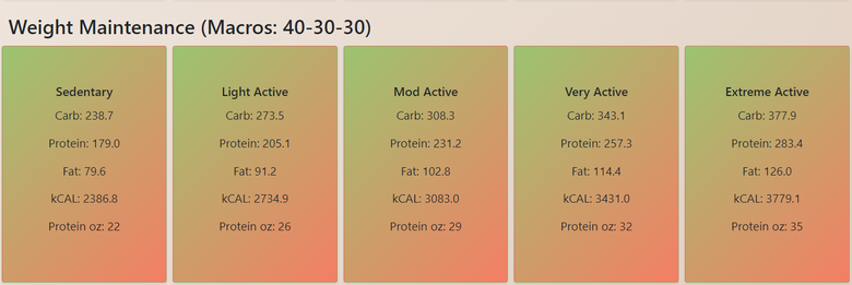 Energy Balance Calculator - Custom Tools Project - Codocraft Portfolio 4 | Built by Codocraft Solutions