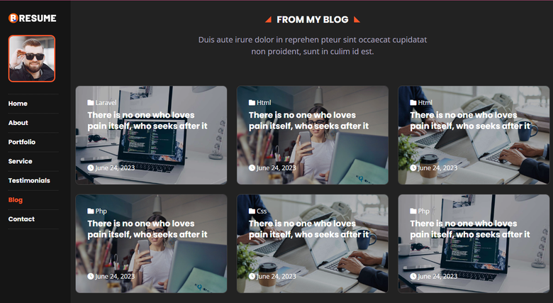 Portfolio Laravel Site - Web Projects Project - Codocraft Portfolio 4 | Built by Codocraft Solutions